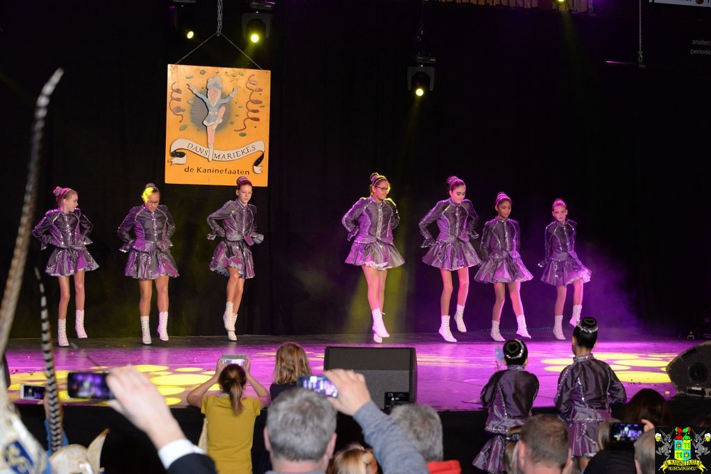 ../Images/Dansmarieke festival 2018 144.jpg